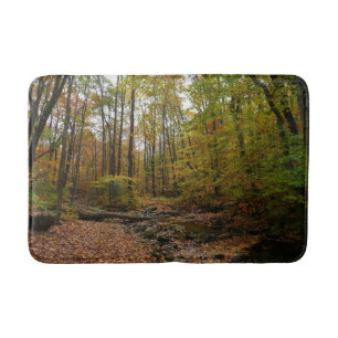 Tapis De Bain Fall Creek à Laurel Hill State Park Pennsylvania