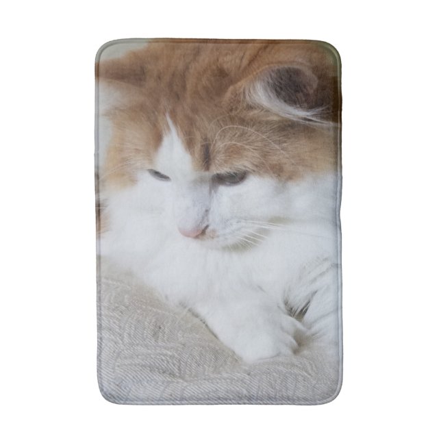 Tapis De Bain (Feline Fancy) Contemplation Kitty : Photo Cat (Devant (Vertical))