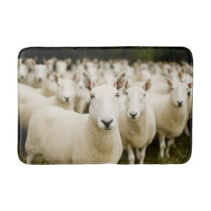 Tapis De Bain Fermes Troupeau de moutons