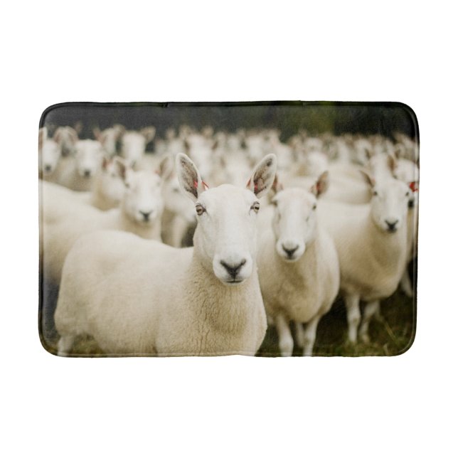 Tapis De Bain Fermes | Troupeau de moutons (Devant)