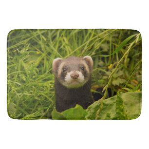 Tapis De Bain Ferret Brown mignon dans l'herbe photo
