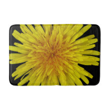 Fleur jaune de pissenlit d'été sur toute couleur