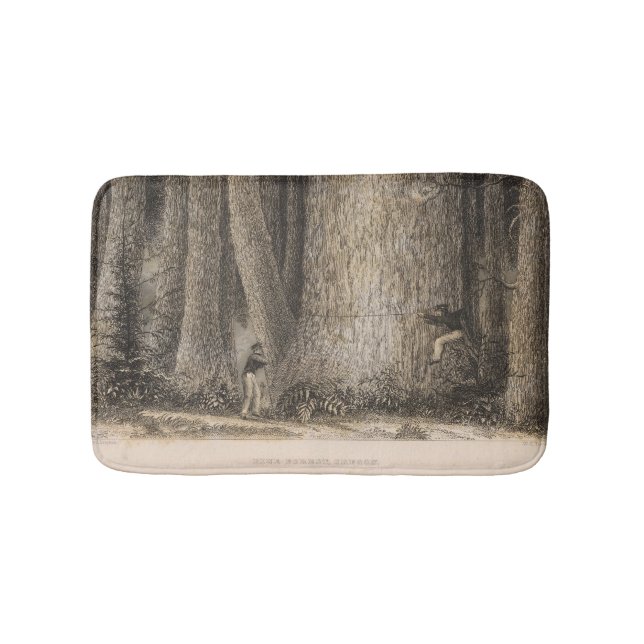 Tapis De Bain Forêt de pin, Orégon (Devant)