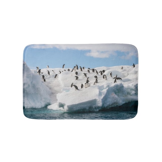 Tapis De Bain Gentoo Penguin Antarctica Iceberg Playtime (Devant)