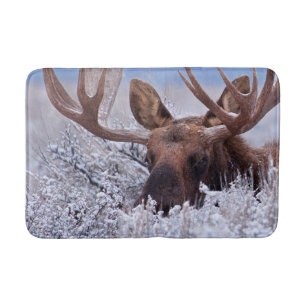 Tapis De Bain Glace et neige   Grand Teton National Park, Wyomin