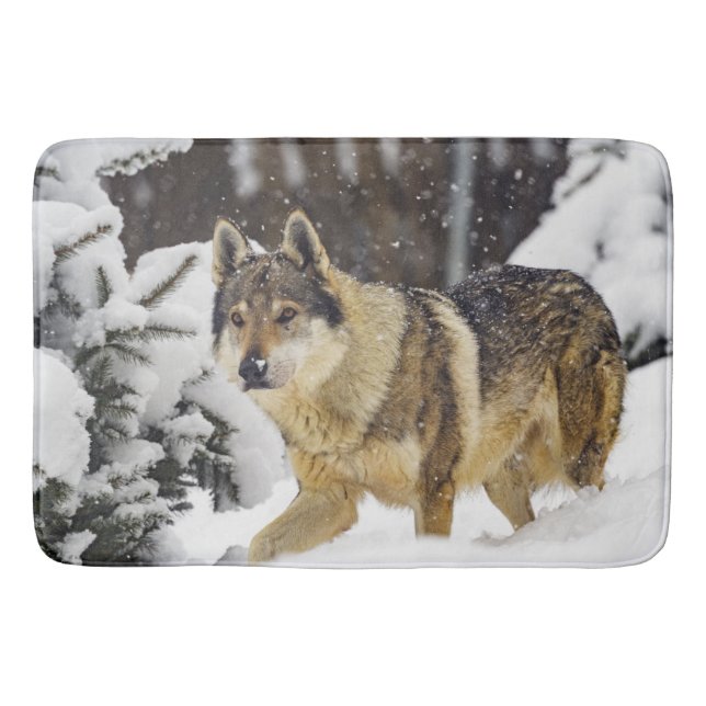 Tapis De Bain Grand Loup sauvage gris dans la neige (Devant)