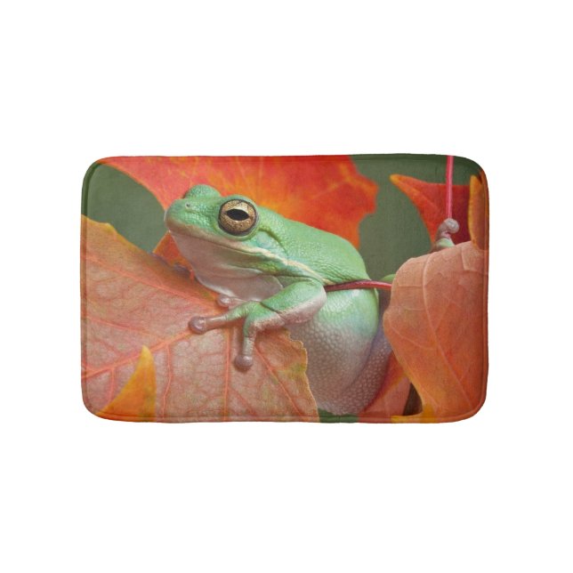 Tapis De Bain Grenouille D'Arbre Vert À L'Automne (Devant)