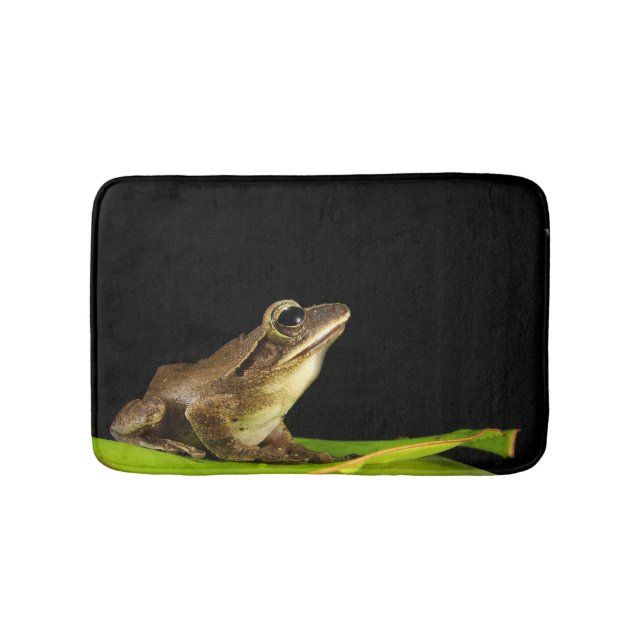 Tapis De Bain Grenouille sur Lily Pad à la nuit (Devant)
