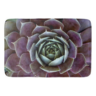 Tapis De Bain Gros plan sur une succulente violette