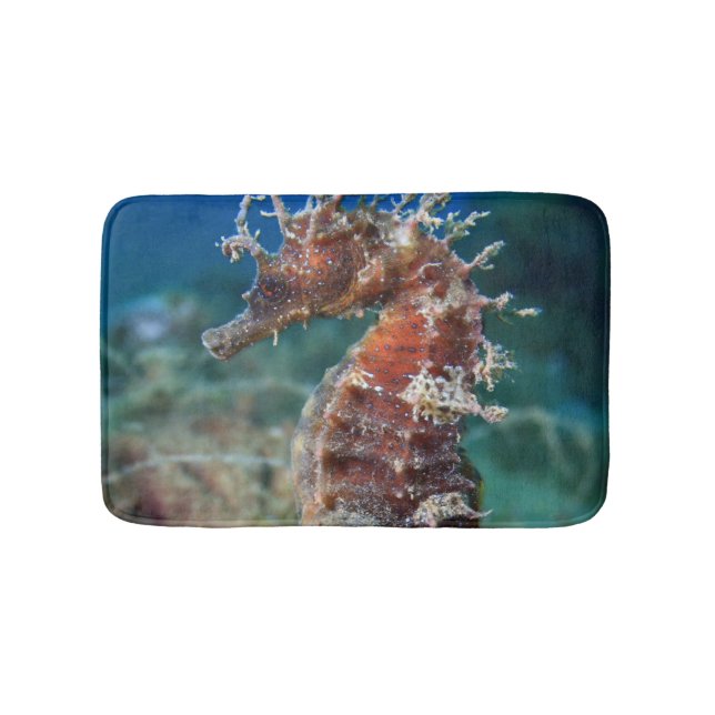 Tapis De Bain Hippocampe Ramulosus de l'hippocampe | (Devant)