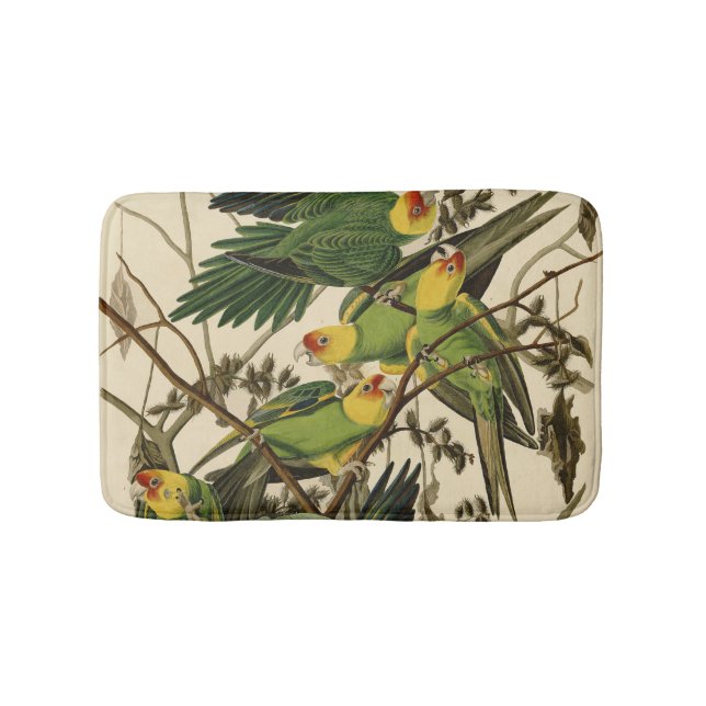 Tapis De Bain Illustration Audubon Carolina Parrot Bird (Devant)