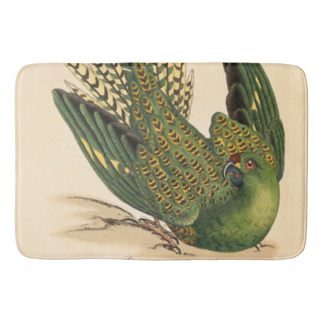 Tapis De Bain James Sowerby Parrot terrestre, Psittacus terrestr (Devant)