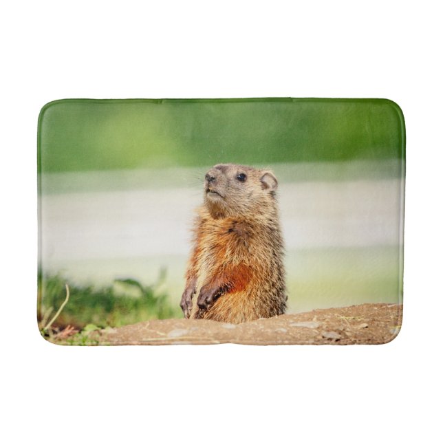 Tapis De Bain Jeune marmotte (Devant)