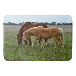 Tapis De Bain Jument alezan et poulain palomino,
