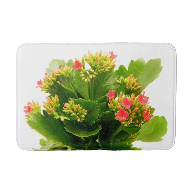 Tapis De Bain Kalanchoe blossfeldiana (Devant)