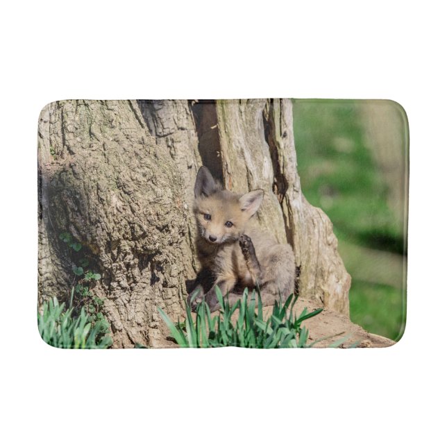 Tapis De Bain Kit Fox dans la vallée de l'Hudson (Devant)