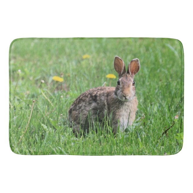 Tapis De Bain Lapin (Devant)