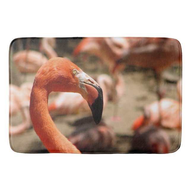 Tapis De Bain Magnifique Flamant rose Bath Mat ! (Devant)