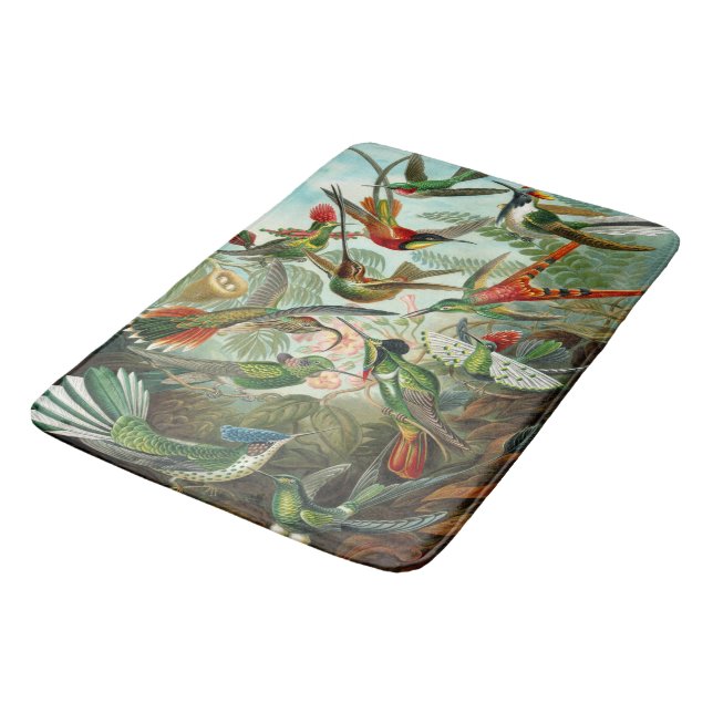 Tapis De Bain Magnifiques colibris Ernst Haeckel (Angle)