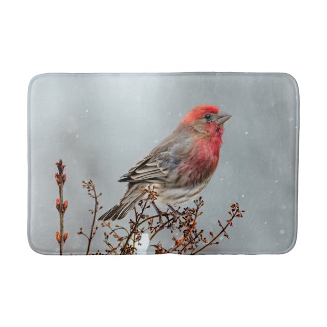 Tapis De Bain Maison Finch en Neige - Photo originale (Devant)