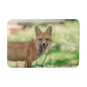 Tapis De Bain Mama Fox dans la vallée de l'Hudson