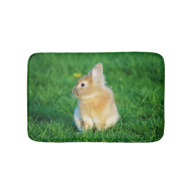 Tapis De Bain Mignonne Lapin Faune assis dans l'herbe (Devant)