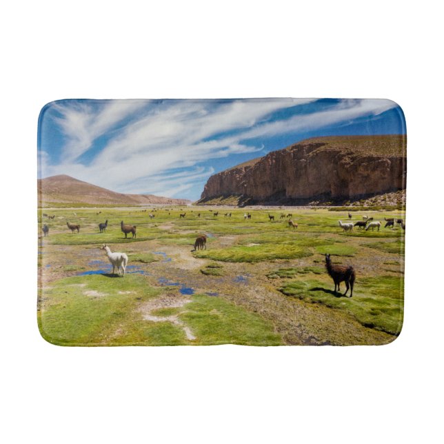 Tapis De Bain Montagnes | Andes boliviennes (Devant)