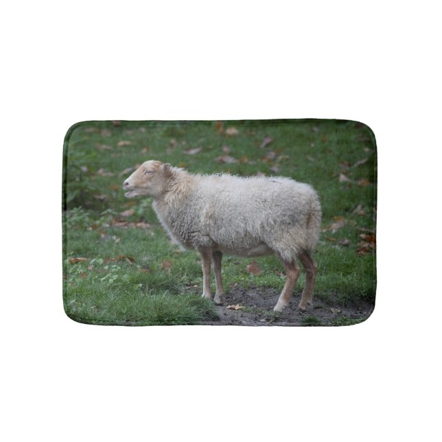 Tapis De Bain Ovis (Devant)