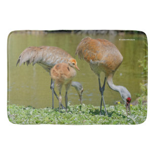 Tapis De Bain Parents de grue de Sandhill et poussins