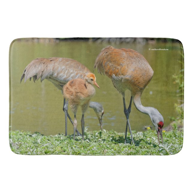 Tapis De Bain Parents de grue de Sandhill et poussins (Devant)