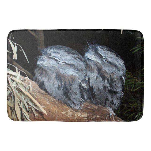 Tapis De Bain "Perche rêveuse : Chouette Tawny Sleepy" (Devant)