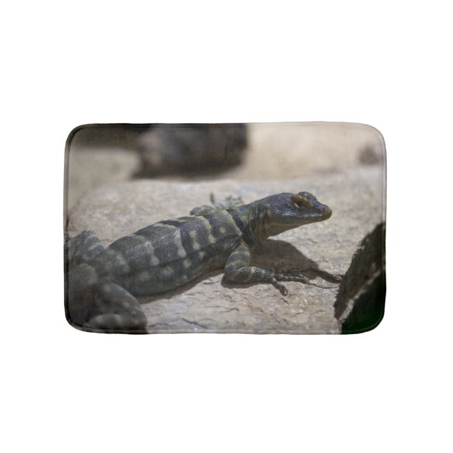 Tapis De Bain Petrosaurus thalassinus (Devant)