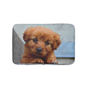 Tapis De Bain Photo Brown de portrait de chiot