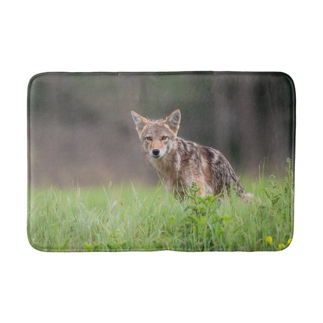Tapis De Bain Photographie animale, Coyote Brown (Devant)
