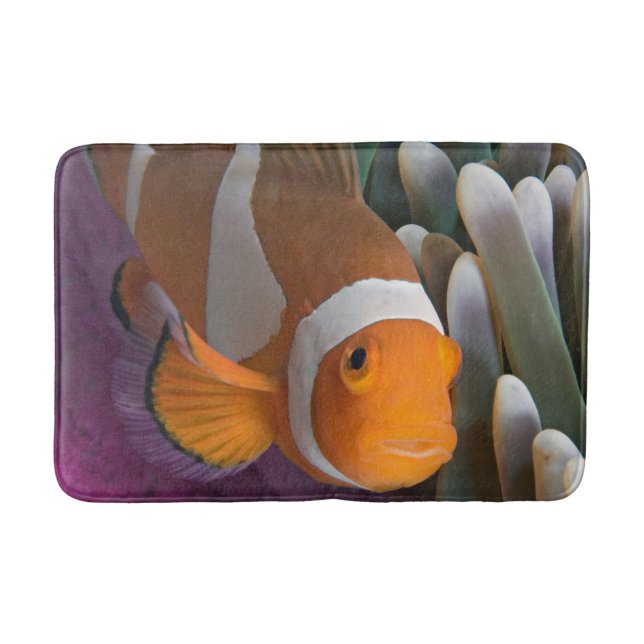 Tapis De Bain Poisson clown occidental (Devant)