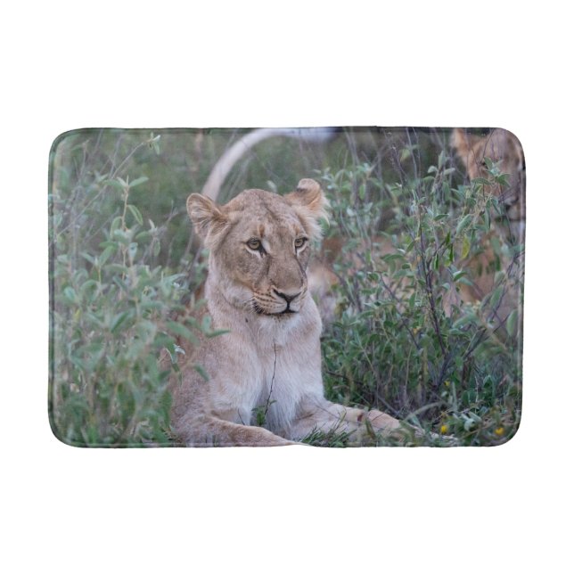 Tapis De Bain Resting Lioness Wildlife Photography (Devant)
