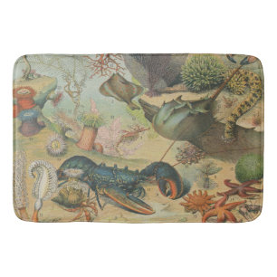 Tapis De Bain Retro vintage marine biologie océanique