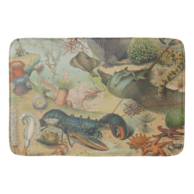 Tapis De Bain Retro vintage marine biologie océanique (Devant)