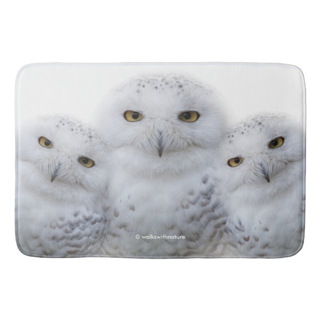 Tapis De Bain Sagesse rêveuse des Chouettes neigeuses (Devant)