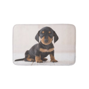 Tapis De Bain Séance miniature de teckel