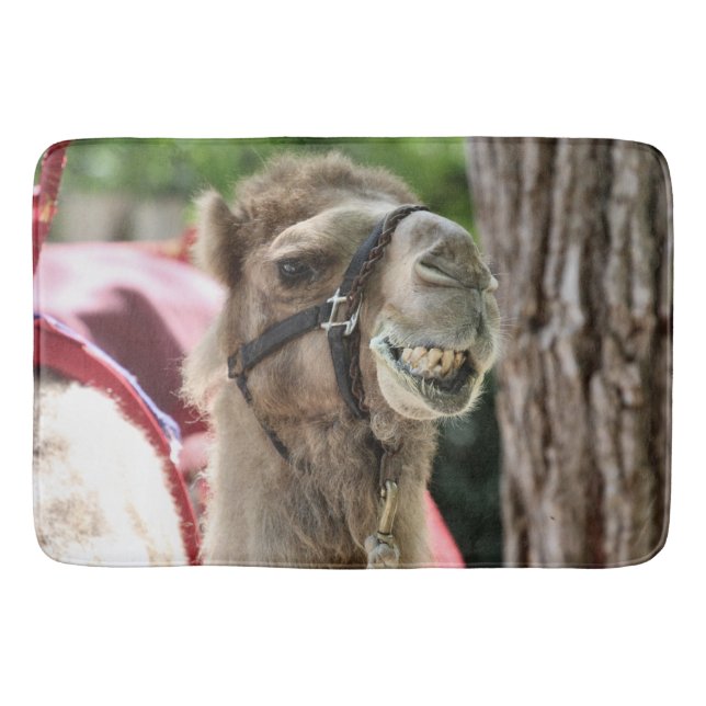 Tapis De Bain Sourire (Devant)