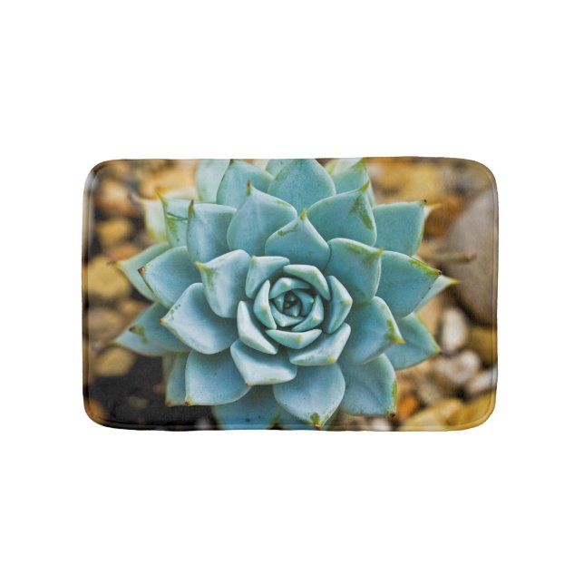 Tapis De Bain Succulente (Devant)