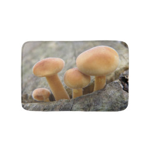 Tapis De Bain Tabourets sur un bain de coffre d'arbre