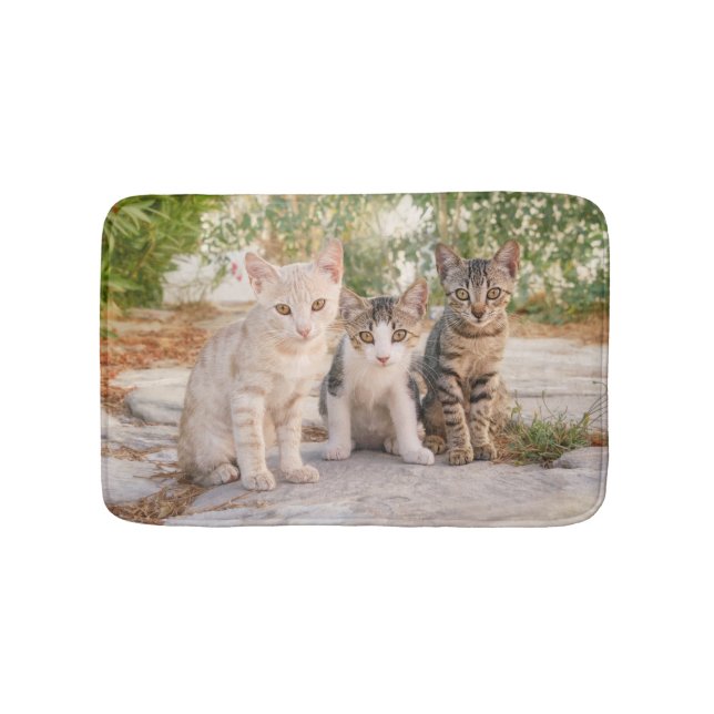 Tapis De Bain Three young cute cat kittens sit friendly together (Devant)