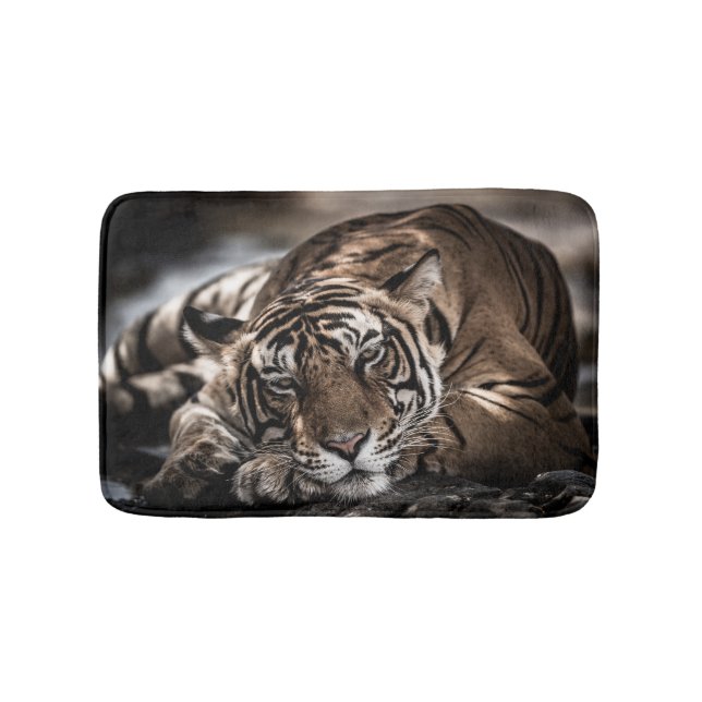 Tapis De Bain Tigre de Ranthambore : gros plan. (Devant)