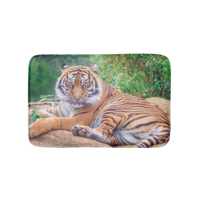 Tapis De Bain Tigre étendu Relaxed (Devant)