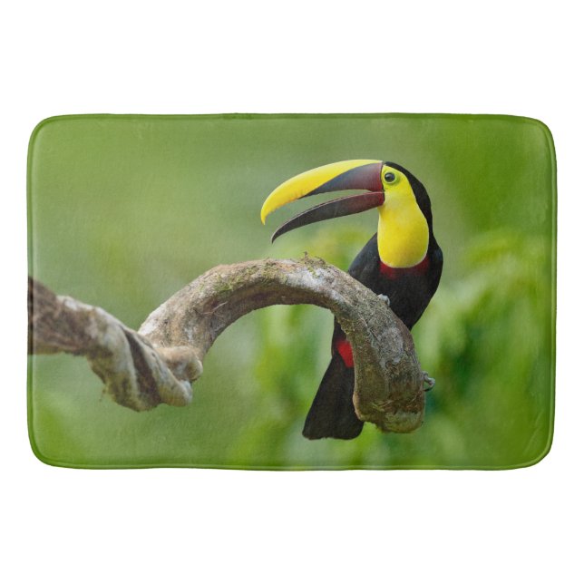Tapis De Bain Toucan assis sur la branche dans la forêt (Devant)