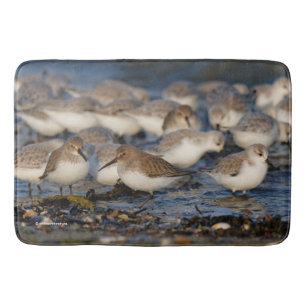 Tapis De Bain Un troupeau de Dunlins et Sanderlings à la plage