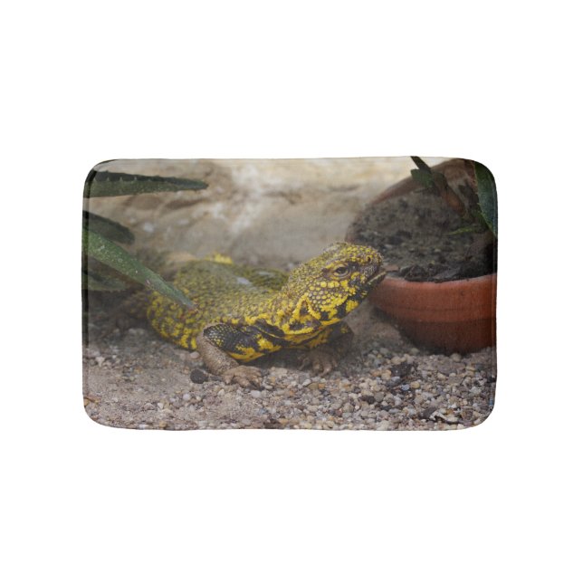 Tapis De Bain Uromastyx geyri (Devant)