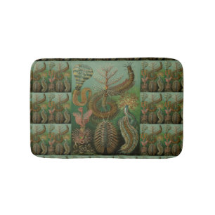 Tapis De Bain Vers vers anciens Annélides Chétopodes par Ernst H